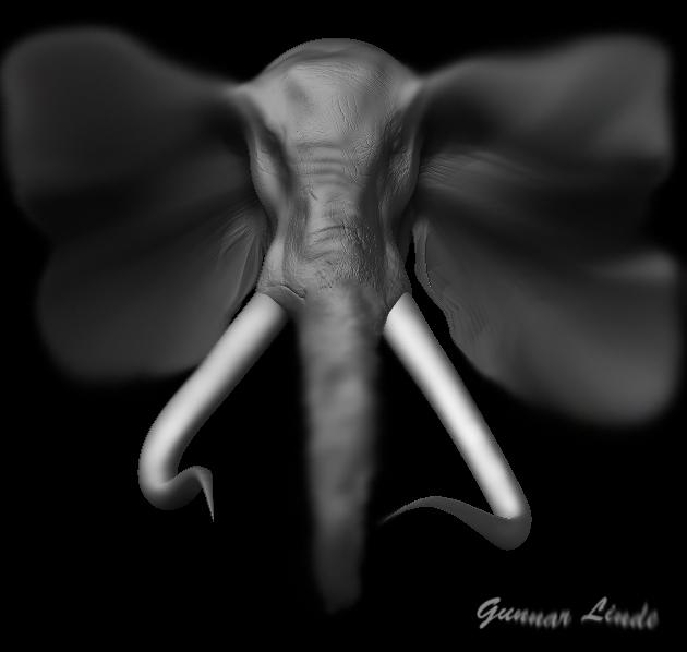 elefant 5d